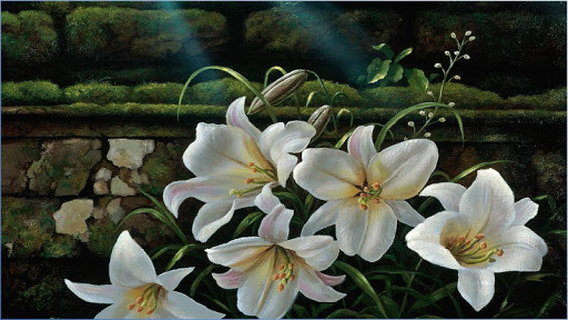 Run android online APK Nice Flower Wallpapers from MyAndroid or emulate Nice Flower Wallpapers using MyAndroid