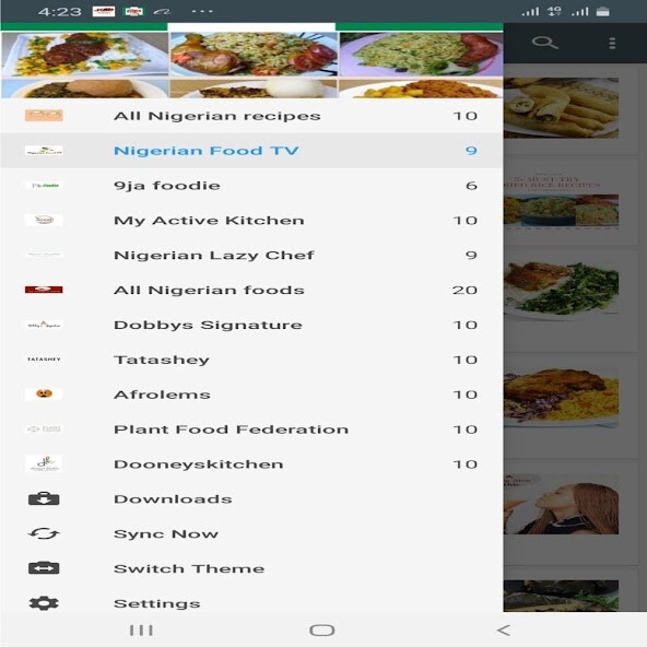Run android online APK Nigerian Food Recipes from MyAndroid or emulate Nigerian Food Recipes using MyAndroid
