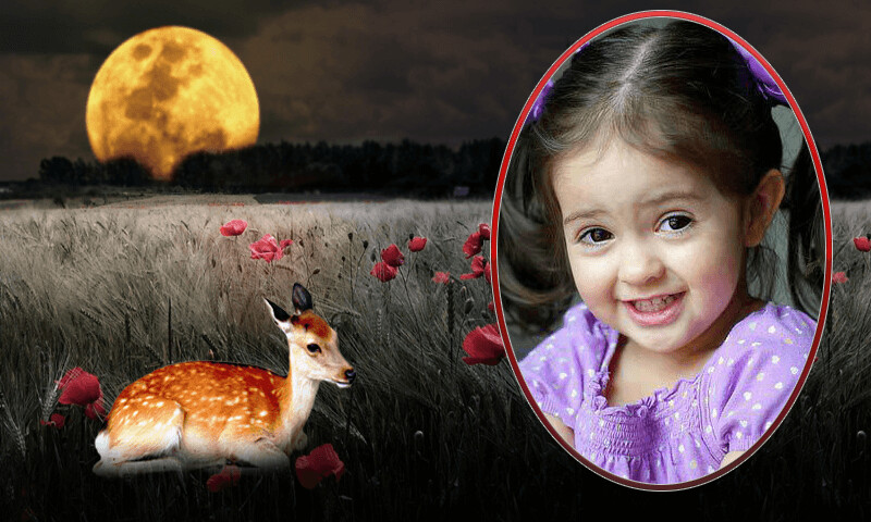 Emulate Android APK Night Moon Photo Frames Emulate Android APK Night Moon Photo Frames