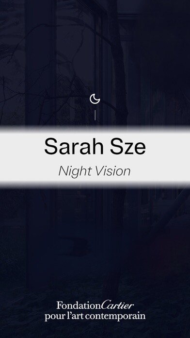 Emulate iPhone app Night Vision 20/20 using MyAndroid