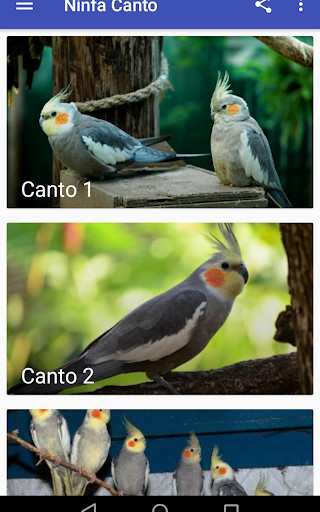 Run android online APK Ninfa Canto from MyAndroid or emulate Ninfa Canto using MyAndroid Run android online APK Ninfa Canto from MyAndroid or emulate Ninfa Canto using MyAndroid