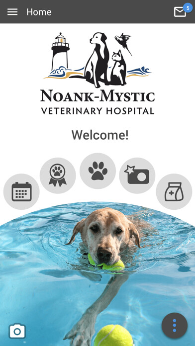 Run android online APK Noank-Mystic Vet Hospital from MyAndroid or emulate Noank-Mystic Vet Hospital using MyAndroid Run android online APK Noank-Mystic Vet Hospital from MyAndroid or emulate Noank-Mystic Vet Hospital using MyAndroid