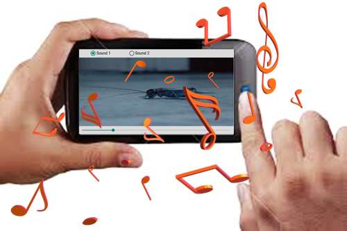 Run android online APK Non Stop Cricket Sounds from MyAndroid or emulate Non Stop Cricket Sounds using MyAndroid Run android online APK Non Stop Cricket Sounds from MyAndroid or emulate Non Stop Cricket Sounds using MyAndroid