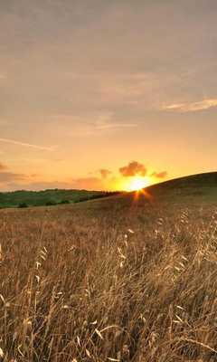 Emulate Android APK North Dakota Jigsaw Puzzles