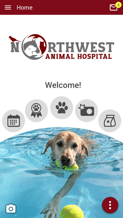 Emulate iPhone app Northwest Animal Hospital using MyAndroid