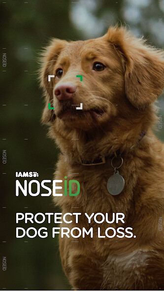 Run android online APK NOSEiD - An Easier Way to Help from MyAndroid or emulate NOSEiD - An Easier Way to Help using MyAndroid Run android online APK NOSEiD - An Easier Way to Help from MyAndroid or emulate NOSEiD - An Easier Way to Help using MyAndroid