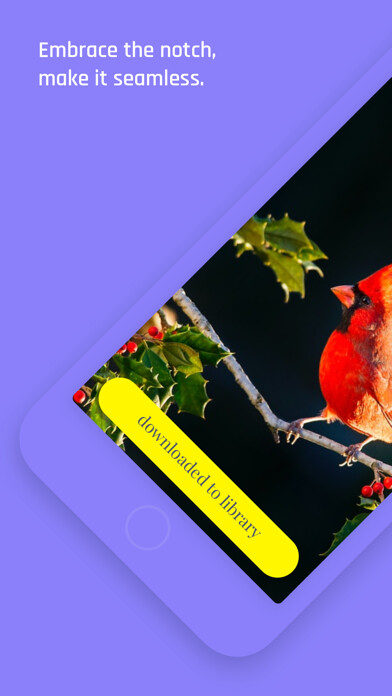Emulate iPhone app Notchless - Wallpapers using MyAndroid