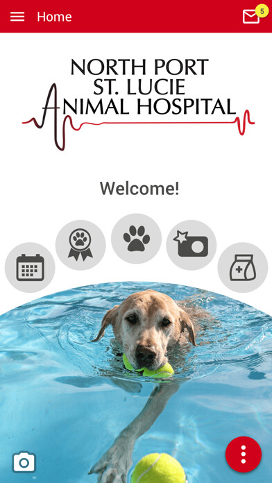 Emulate iPhone app NPSLAH using MyAndroid Emulate iPhone app NPSLAH using MyAndroid