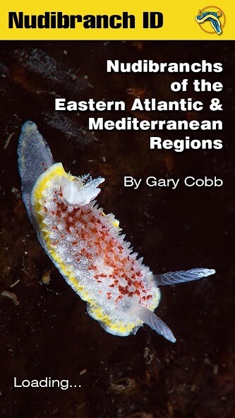 Run android online APK Nudibranch ID EAtlantic MedSea from MyAndroid or emulate Nudibranch ID EAtlantic MedSea using MyAndroid