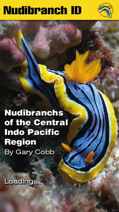 Emulate iPhone app Nudibranch ID Indo Pacific using MyAndroid Emulate iPhone app Nudibranch ID Indo Pacific using MyAndroid
