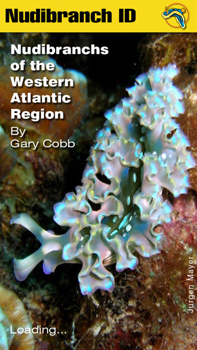 Run android online APK Nudibranch ID Western Atlantic from MyAndroid or emulate Nudibranch ID Western Atlantic using MyAndroid Run android online APK Nudibranch ID Western Atlantic from MyAndroid or emulate Nudibranch ID Western Atlantic using MyAndroid
