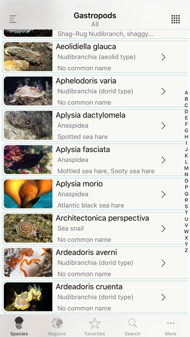 Emulate iPhone app Nudis using MyAndroid Emulate iPhone app Nudis using MyAndroid