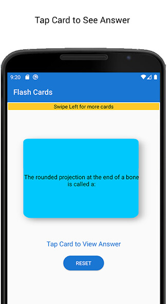 Run android online APK Nursing Anatomy Terms Flashcard Quiz from MyAndroid or emulate Nursing Anatomy Terms Flashcard Quiz using MyAndroid Run android online APK Nursing Anatomy Terms Flashcard Quiz from MyAndroid or emulate Nursing Anatomy Terms Flashcard Quiz using MyAndroid