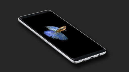 Run android online APK Nusantara Guppy Wallpapers HD from MyAndroid or emulate Nusantara Guppy Wallpapers HD using MyAndroid