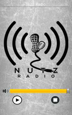 Emulate Android APK Nutz Radio