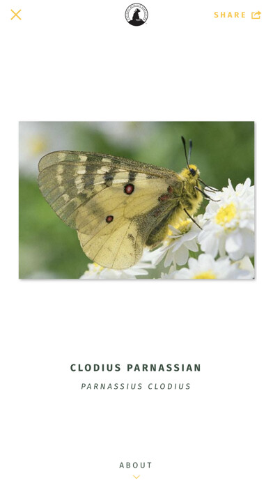 Emulate iPhone app NWF Guide to Butterflies using MyAndroid