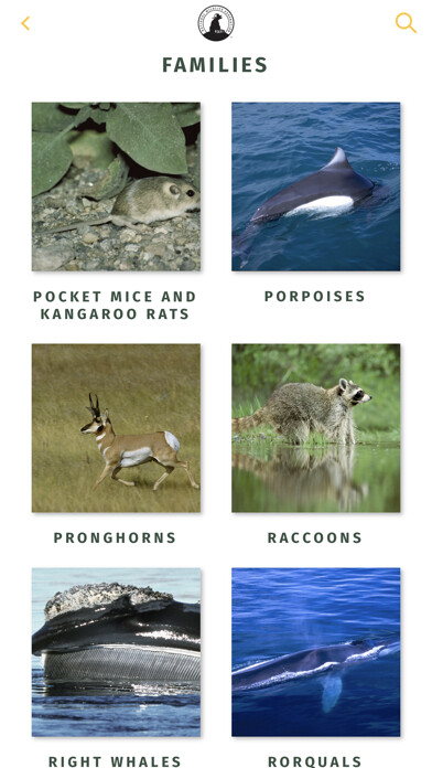 Emulate iPhone app NWF Guide to Mammals using MyAndroid