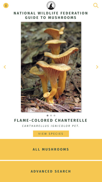 Emulate iPhone app NWF Guide to Mushrooms using MyAndroid