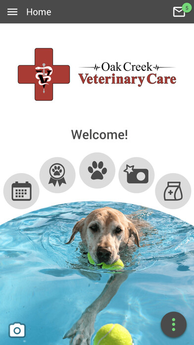 Emulate iPhone app Oak Creek Veterinary Care using MyAndroid