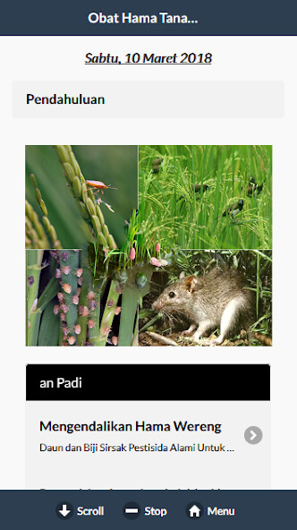 Run android online APK Obat Alami Hama Padi from MyAndroid or emulate Obat Alami Hama Padi using MyAndroid Run android online APK Obat Alami Hama Padi from MyAndroid or emulate Obat Alami Hama Padi using MyAndroid
