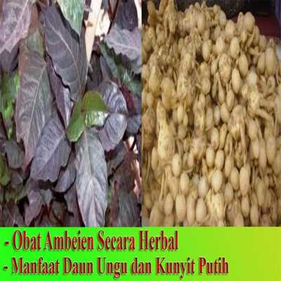 Emulate Android APK Obat Ambeien herbal mujarab