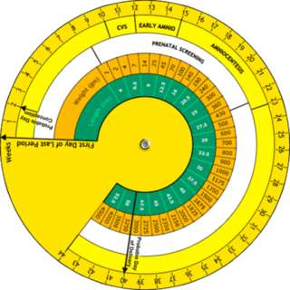 Run android online APK Obstetric Wheel Calculator from MyAndroid or emulate Obstetric Wheel Calculator using MyAndroid Run android online APK Obstetric Wheel Calculator from MyAndroid or emulate Obstetric Wheel Calculator using MyAndroid