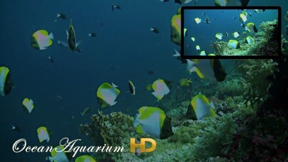 Emulate iPhone app Ocean Aquarium HD using MyAndroid