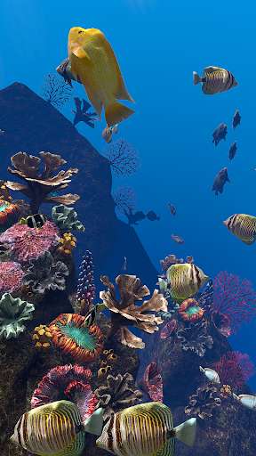 Run android online APK Ocean Aquarium from MyAndroid or emulate Ocean Aquarium using MyAndroid