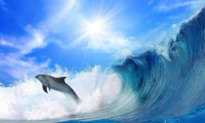 Emulate Android APK Oceans Elf: Dolphins Emulate Android APK Oceans Elf: Dolphins