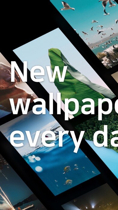 Emulate iPhone app OGQ Backgrounds-HD Wallpapers using MyAndroid Emulate iPhone app OGQ Backgrounds-HD Wallpapers using MyAndroid