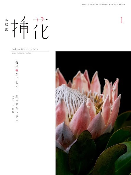 Run android online APK Ohara School eBooks from MyAndroid or emulate Ohara School eBooks using MyAndroid