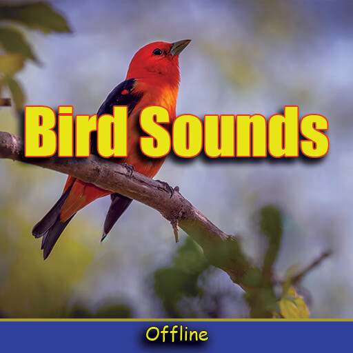 Run android online APK Oiseaux Sons 2020 sans internet from MyAndroid or emulate Oiseaux Sons 2020 sans internet using MyAndroid Run android online APK Oiseaux Sons 2020 sans internet from MyAndroid or emulate Oiseaux Sons 2020 sans internet using MyAndroid