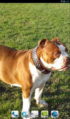 Emulate Android APK Olde English Bulldogge Theme