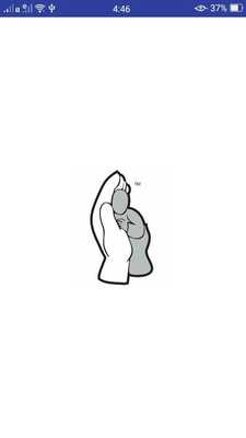 Emulate Android APK OneHelp Viewer