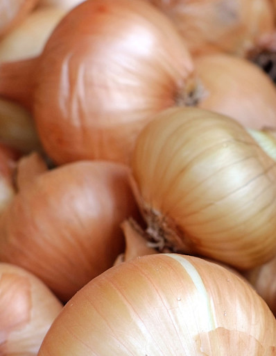 Run android online APK Onion Food from MyAndroid or emulate Onion Food using MyAndroid