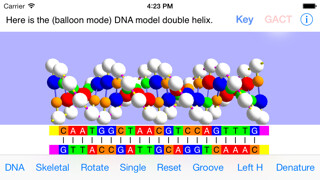 Emulate iPhone app OnScreen DNA Model for iPhone using MyAndroid Emulate iPhone app OnScreen DNA Model for iPhone using MyAndroid