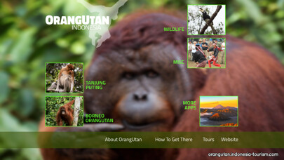 Emulate iPhone app OrangUtan - Indonesia using MyAndroid