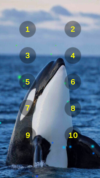 Run android online APK Orca Whale Sounds Soundboard from MyAndroid or emulate Orca Whale Sounds Soundboard using MyAndroid Run android online APK Orca Whale Sounds Soundboard from MyAndroid or emulate Orca Whale Sounds Soundboard using MyAndroid