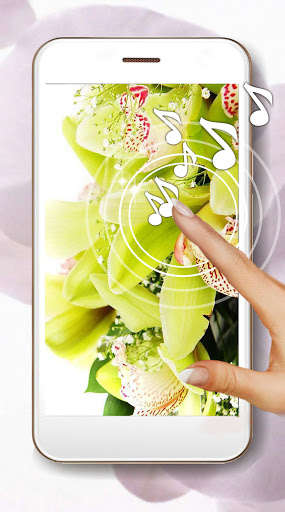 Run android online APK Orchid Amazing Live Wallpaper from MyAndroid or emulate Orchid Amazing Live Wallpaper using MyAndroid Run android online APK Orchid Amazing Live Wallpaper from MyAndroid or emulate Orchid Amazing Live Wallpaper using MyAndroid