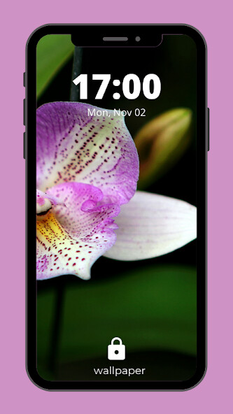Run android online APK Orchid Flowers Wallpaper HD from MyAndroid or emulate Orchid Flowers Wallpaper HD using MyAndroid Run android online APK Orchid Flowers Wallpaper HD from MyAndroid or emulate Orchid Flowers Wallpaper HD using MyAndroid