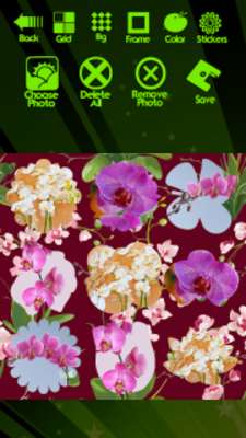 Emulate Android APK Orchid Photo Collage Emulate Android APK Orchid Photo Collage