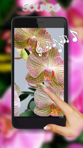 Run android online APK Orchids Photo from MyAndroid or emulate Orchids Photo using MyAndroid