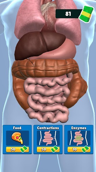 Run android online APK Organ Clicker from MyAndroid or emulate Organ Clicker using MyAndroid Run android online APK Organ Clicker from MyAndroid or emulate Organ Clicker using MyAndroid