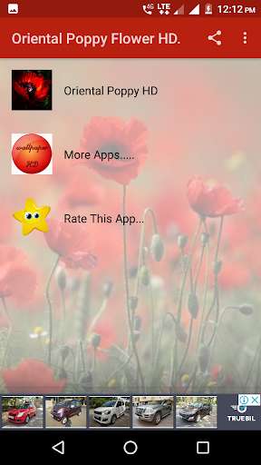 Emulate Android APK Oriental Poppy Flower HD Emulate Android APK Oriental Poppy Flower HD