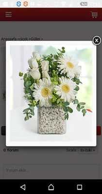 Emulate Android APK Orkidemcicekcilik.com Emulate Android APK Orkidemcicekcilik.com