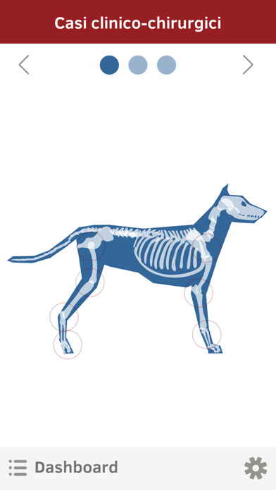 Run android online APK OrthovetPlus from MyAndroid or emulate OrthovetPlus using MyAndroid