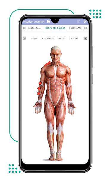 Run android online APK OsteoEasy from MyAndroid or emulate OsteoEasy using MyAndroid