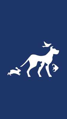 Emulate Android APK Overland Vet Clinic