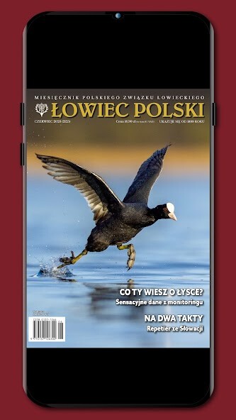 Run android online APK ?owiec Polski from MyAndroid or emulate ?owiec Polski using MyAndroid Run android online APK ?owiec Polski from MyAndroid or emulate ?owiec Polski using MyAndroid