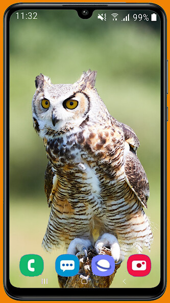 Run android online APK Owl HD Wallpaper from MyAndroid or emulate Owl HD Wallpaper using MyAndroid Run android online APK Owl HD Wallpaper from MyAndroid or emulate Owl HD Wallpaper using MyAndroid